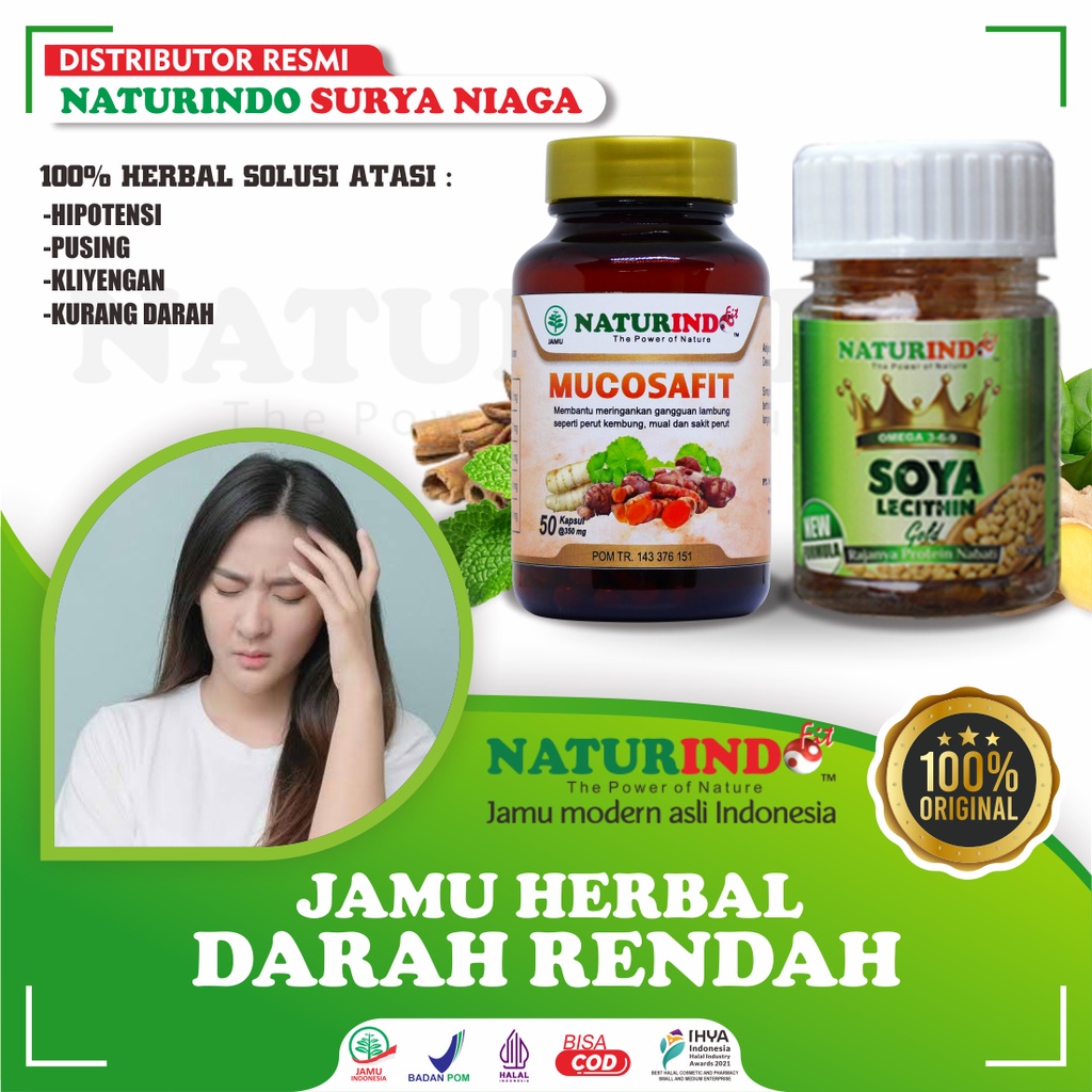 Obat Darah Rendah Kurang Darah Herbal Darah Rendah Tekanan Darah Rendah Hipotensi Pusing NATURINDO