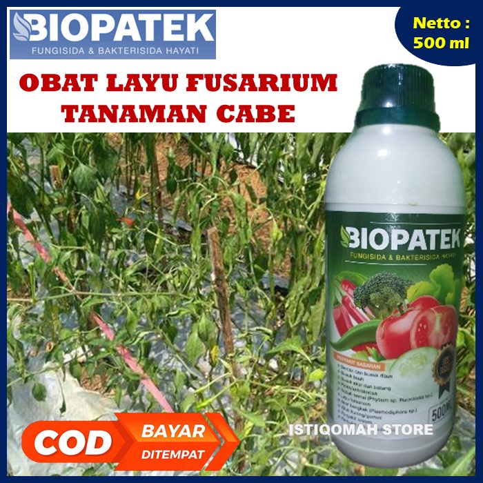 BIOPATEK 500ML Fungisida Hayati Obat Hama Mengatasi Layu Fusarium pada Tanaman &amp; Buah Kentang Paling Ampuh Bisa untuk Semua Jenis Tanaman, Sayuran, Buah-buahan, Palawija, Tanaman Hortikultura, Tanaman Perkebunan, Tanaman Hias / Bunga, dll Paling Ampuh