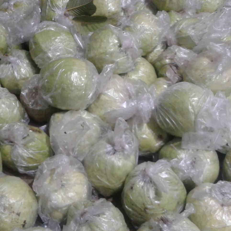 

☑ 1kg jambu kristal putih segar diskon ㅁ