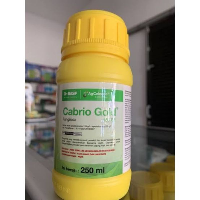 CABRIO GOLD 250ML
