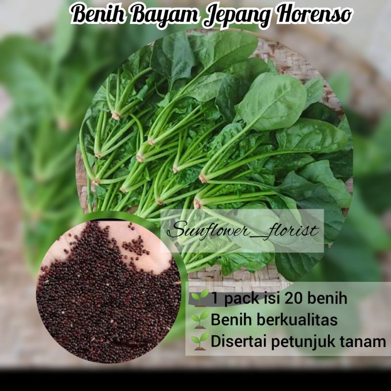 Bunga Bayam Jepang Horenso