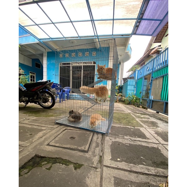 New Kandang Kucing Galvanis