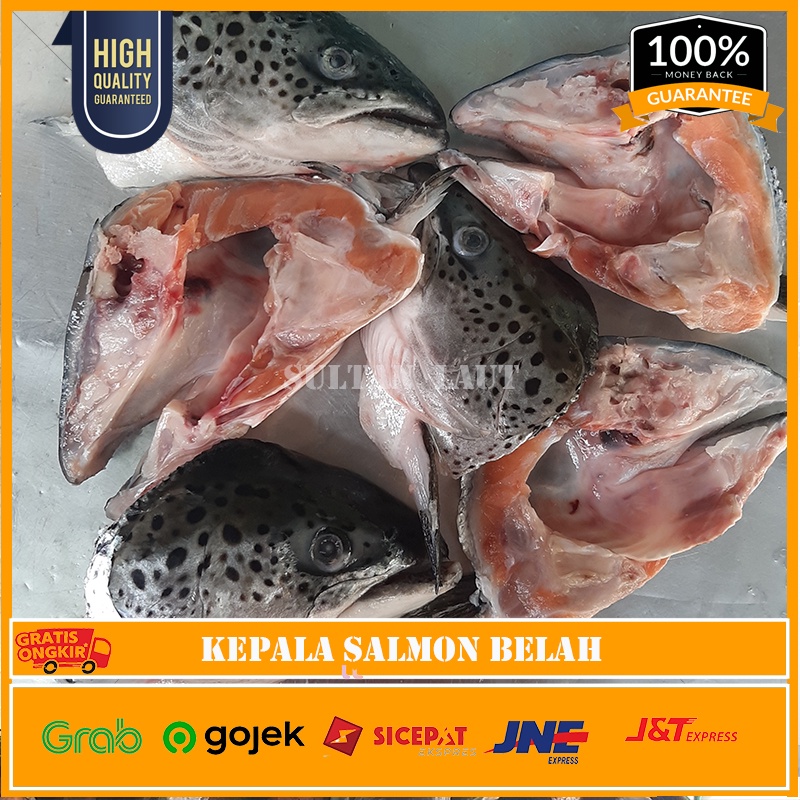 

Kepala Salmon Head / Kepala Ikan Salmon Belah Fresh 1 Bungkus @2pcs