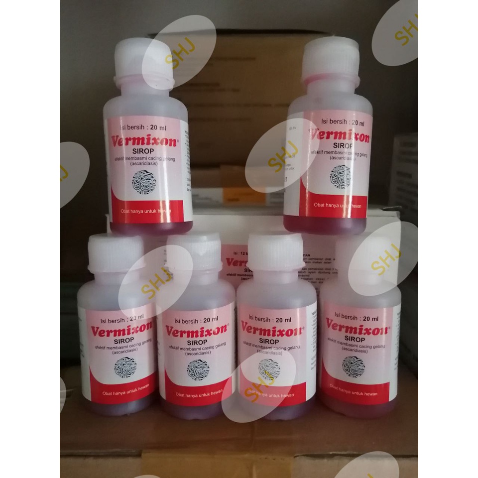 VERMIXON SIRUP OBAT CACING GILIG 20ML
