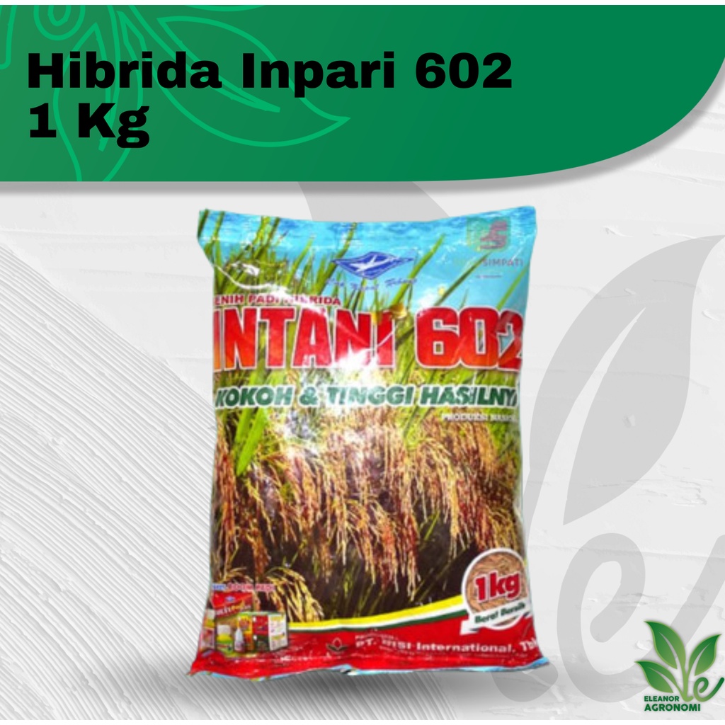 Benih Padi Hibrida Inpari 602 1 Kg Benih Padi Sawah Tadah Hujan