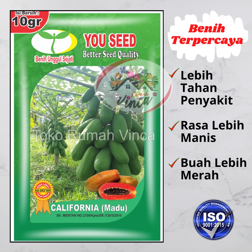 BENIH BIBIT BIJI PEPAYA CALIFORNIA MADU DARI CAP YOU SEED