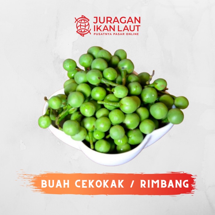 

Buah Cekokak / Rimbang Berkualitas - 250 Gram