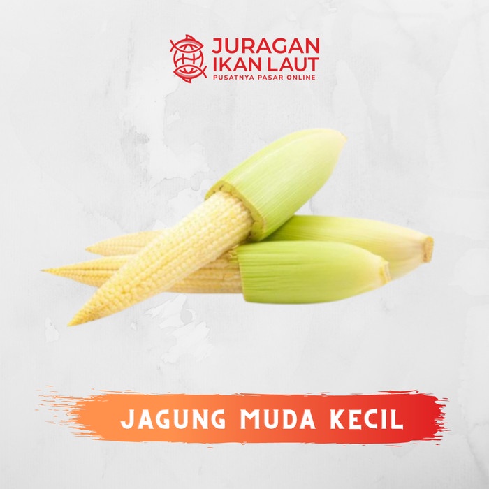 

Jagung Muda Kecil Segar Berkualitas - 500 Gram