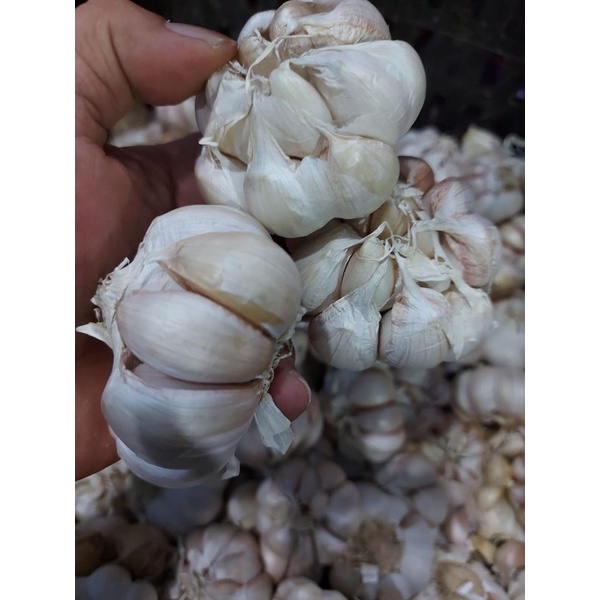 

DA BAWANG PUTIH HONAN 1 KG