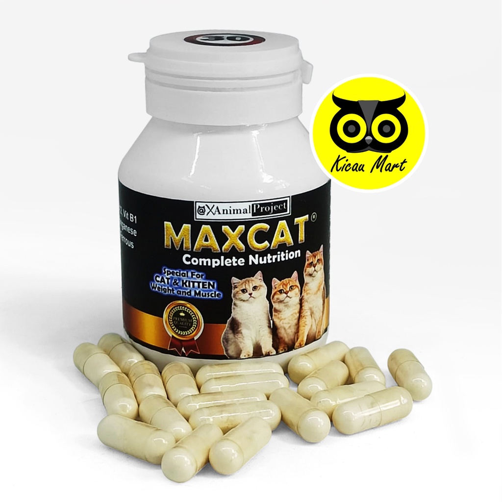 Maxcat Obat Penggemuk Kucing Vitamin Penambah Nafsu Makan Obat Kucing Kurus Cat Fater Powder Btm Big Body Suplemen Daya Tahan Tubuh Antibody Super Cat