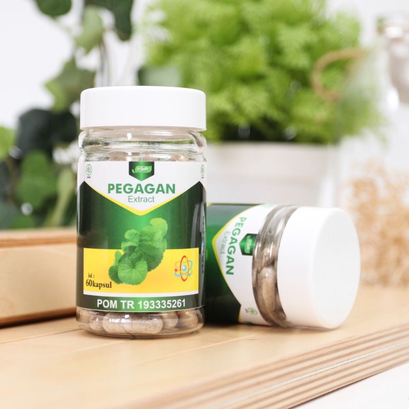 SYIFA ORIGINAL EXTRACT / EKSTRAK PEGAGAN 60 KAPSUL