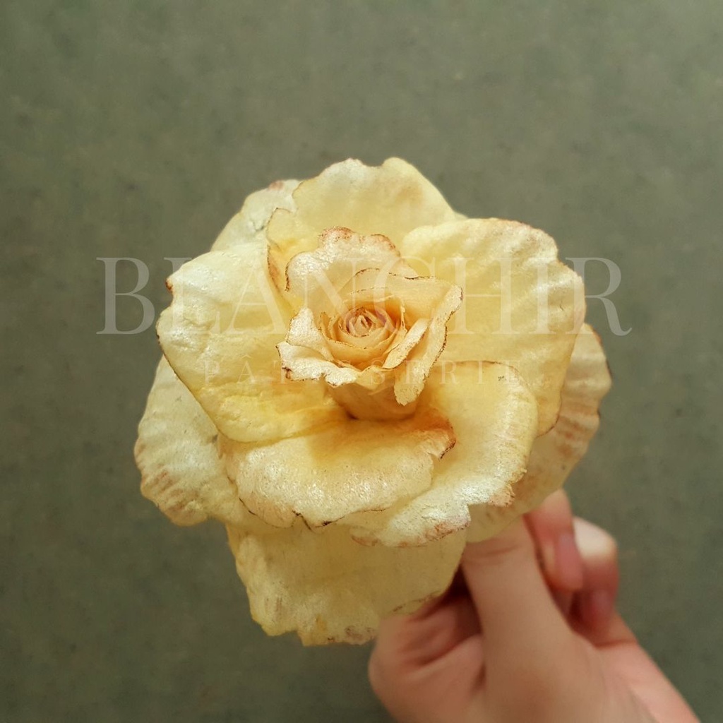 

Mawar Wafer Paper Flower | Wafer Paper Flower Rose light yellow / soft yellow / kuning pastel | bunga untuk kue | hiasan kue | bunga dekorasi kue handmade