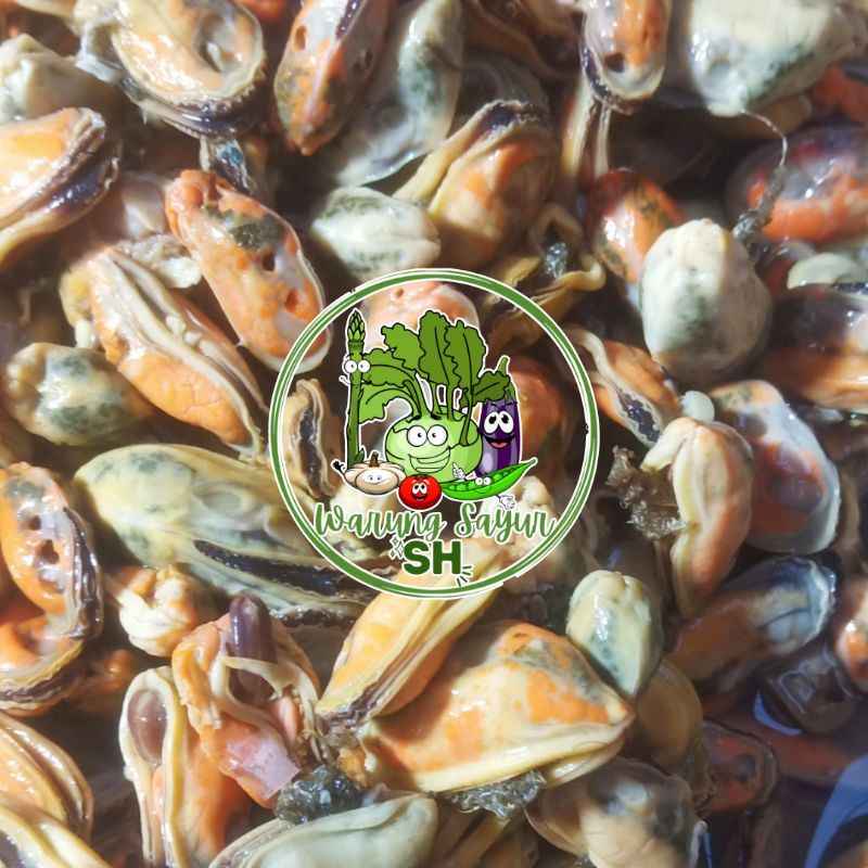 

KERANG HIJAU KUPAS SEGAR PER 500 GRAM | DAGING KERANG HIJAU