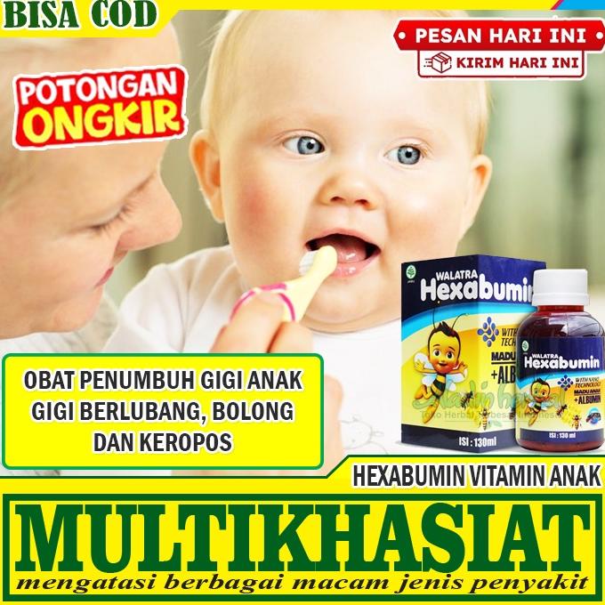 Obat Penumbuh gigi anak - Obat Penumbuh gigi bolong, Keropos, berlubang dll - Walatra Hexabumin ASLI