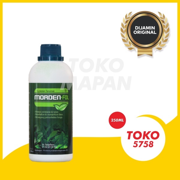 MORDEN FOLL 250 ML