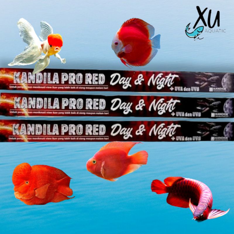 KANDILA PRO RED DAY AND NIGHT 400 UV A UV B PLUS LAMPU T8 KANDILA PRO DAY AND NIGHT 400