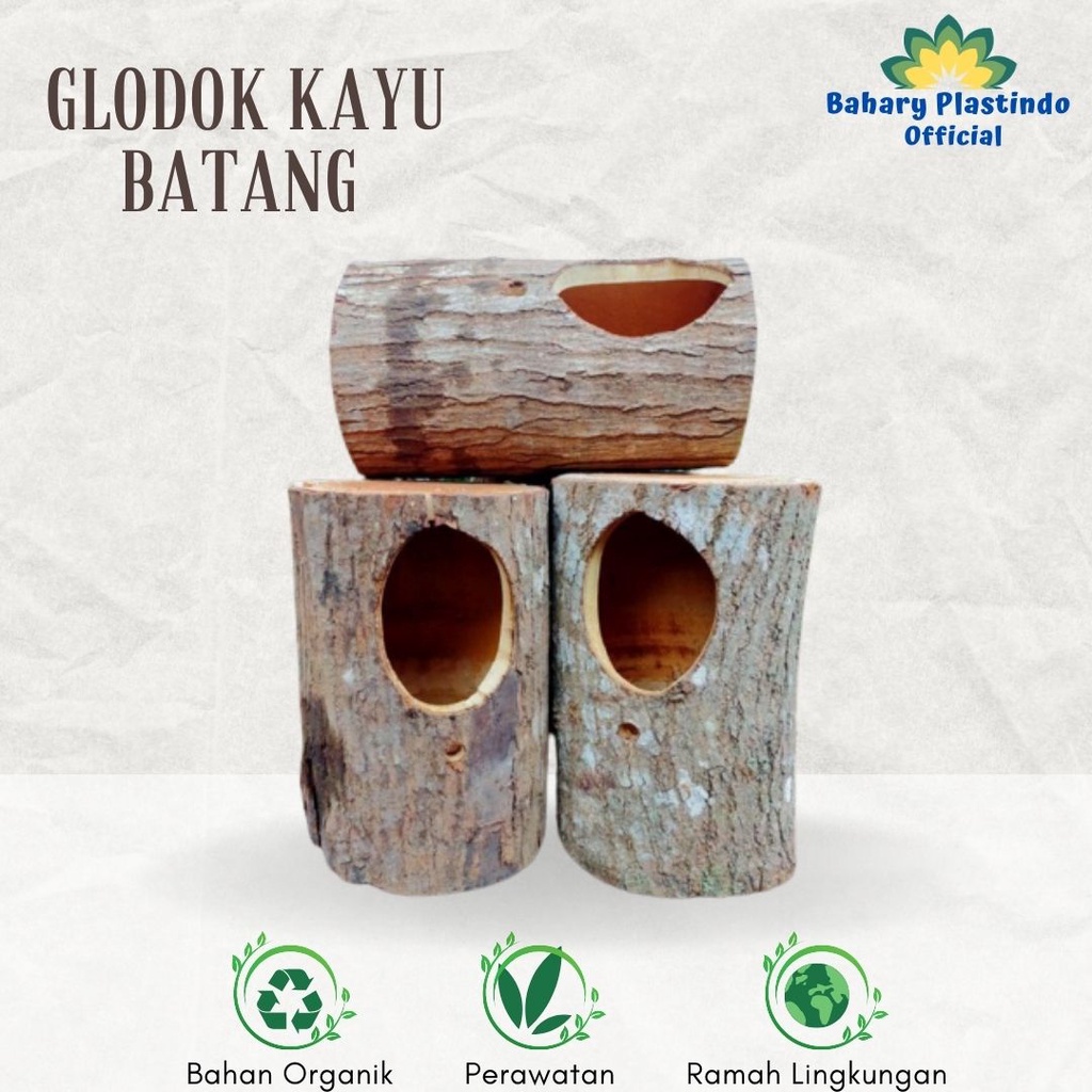 Glodok Batang Kayu Sarang Burung Murai Jalak Kacer Lovebird