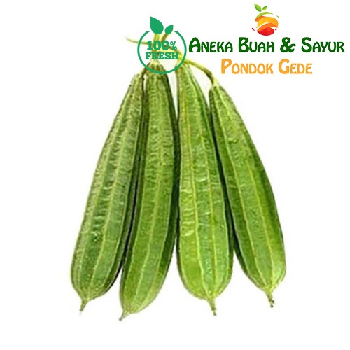 

Sayur Oyong Segar 1kg