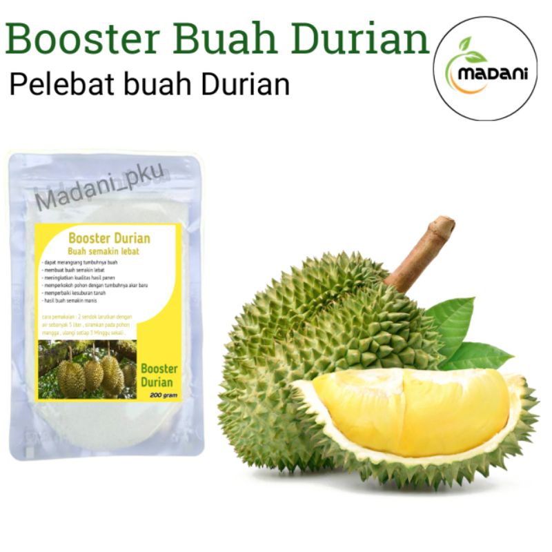 booster durian promo pupuk buah durian