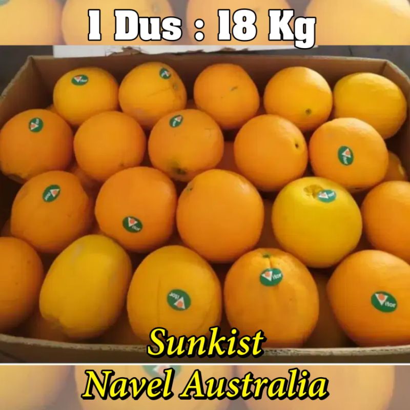 

1 DUS JERUK SUNKIST NAVEL 18KG AUSTRALIA ORI