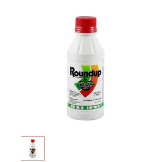 Roundup200ml pembasmi hama rumput Roundup200ml