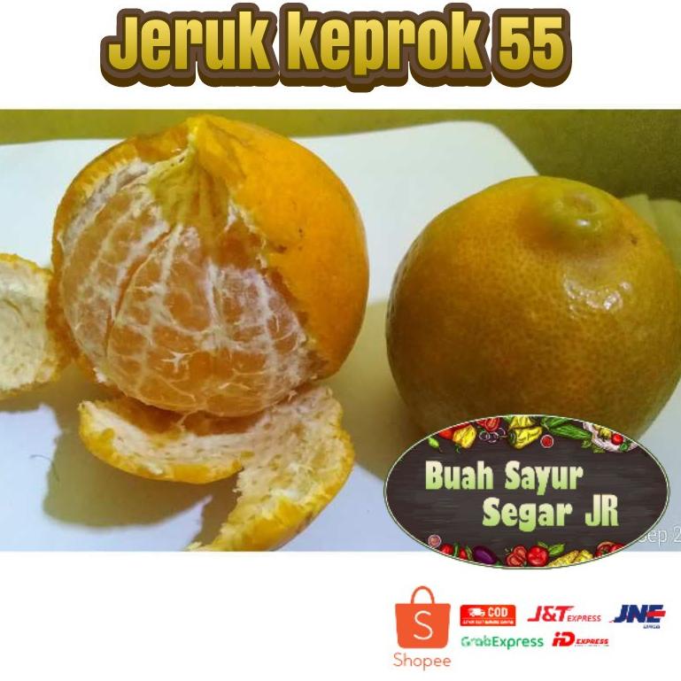 

ぽ JERUK KEPROK 55 MALANG / JERUK MURAH / JERUK KEPROK SEGAR ㅶ