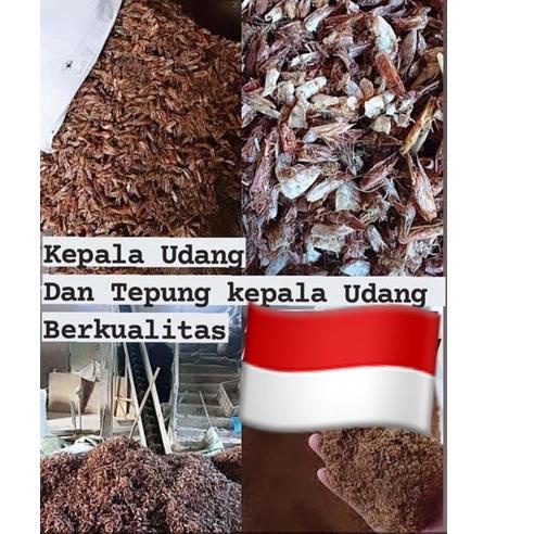 

☼ Tepung Kepala Udang Murni 100 persen Asli kemasan 1 kg / tepung kepala udang Protein 41-65 % / tku / pakan ternak / tepung udang / umpan pancing / umpan ikan / pelet ikan / tepung makanan ternak / mako ternak / pakan itik / pakan babi / pakan ruminansia