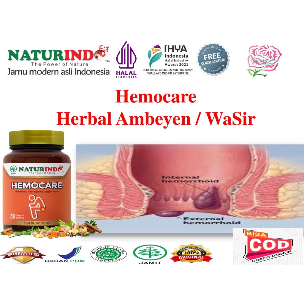 Obat Wasir Stadium 4 Ambeyen Ambien Ambeien Hemiroid Herbal Paling Ampuh Alami