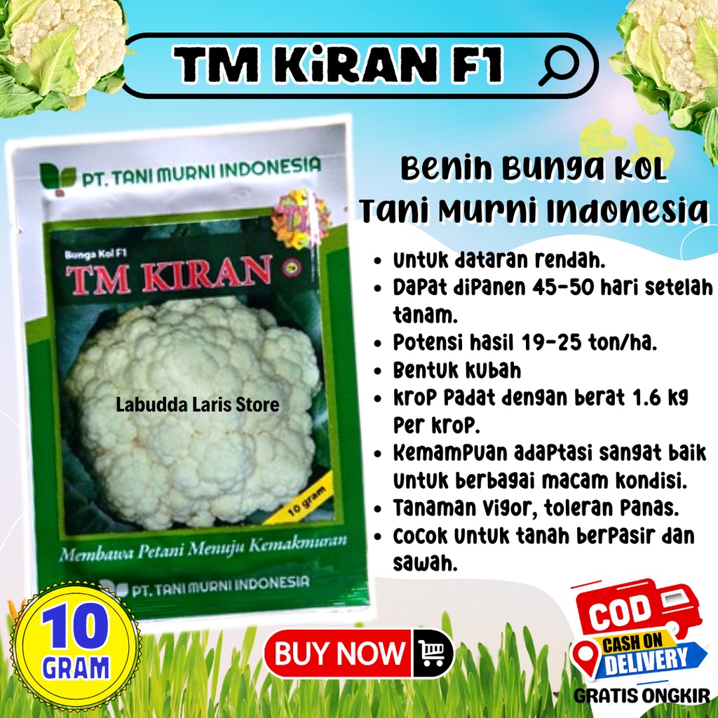TM Kiran F1 Benih Bunga Kol Tm Kiran 10 Gram - Benih Kembang Kol Dataran Rendah Original Pabrik Tani