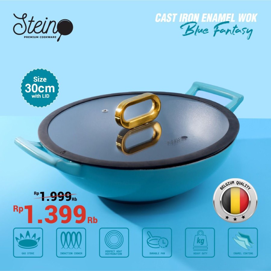 STEIN Cast Iron Wok 30 Inner Coating Enamel Belgium Non-Stick Misty Green-Blue Fantasy Wok30