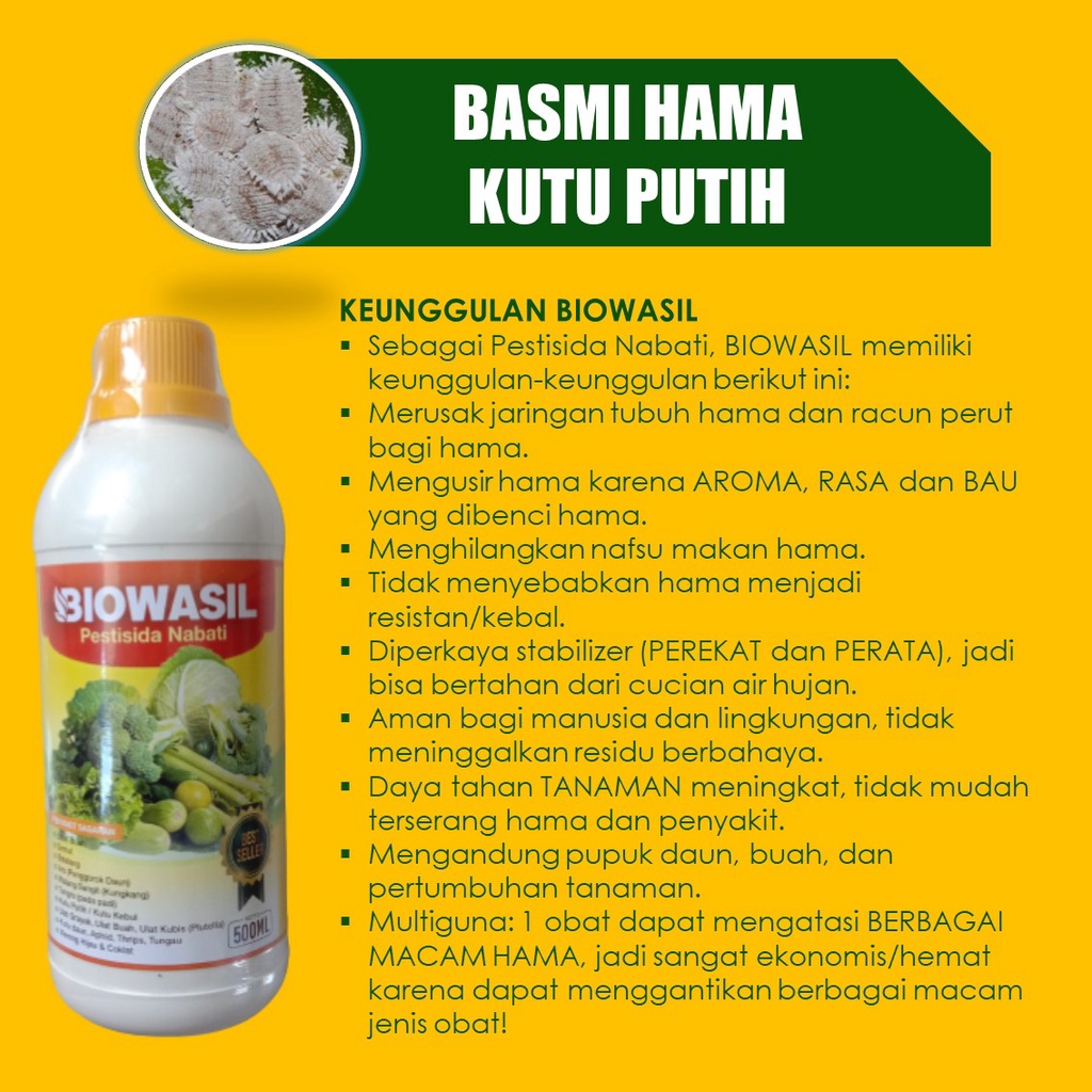 (100% ORIGINAL) 500 ML BIOWASIL OBAT HAMA KUTU PUTIH - OBAT SEMPROT BASMI HAMA KUTU PUTIH CABE, PADI