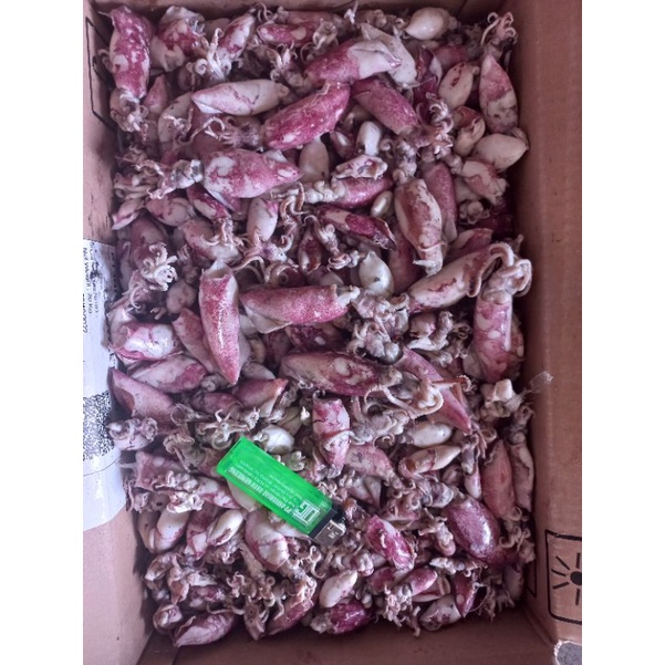 

cumi asin size 4-7 cm