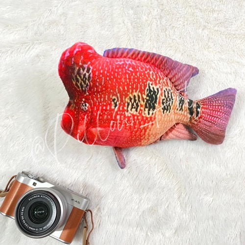 Pillowart - Bantal Boneka Ikan Louhan Size M - ART061