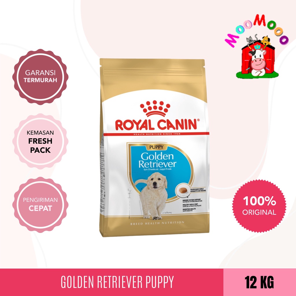 (Khusus Ekspedisi) Royal Canin Golden Retriever Junior / Puppy 12Kg