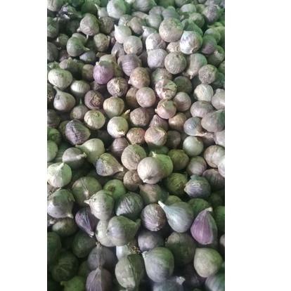 

Bawang putih TunggaL/Lanang½ kg イ