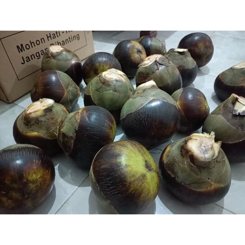 Buaj Lontar//Buah siwalan khas tuban (1 biji bila dibelah isi 3 buah didalamnya)