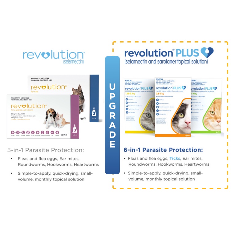 Revolution PLUS for Cat &amp; Kitten - Obat Anti Kutu Kucing (HARGA UNTUK 1 TUBE)