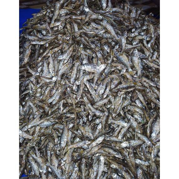 

[BAYAR DITEMPAT] Ikan Bilih Goreng Asli Danau Singkarak