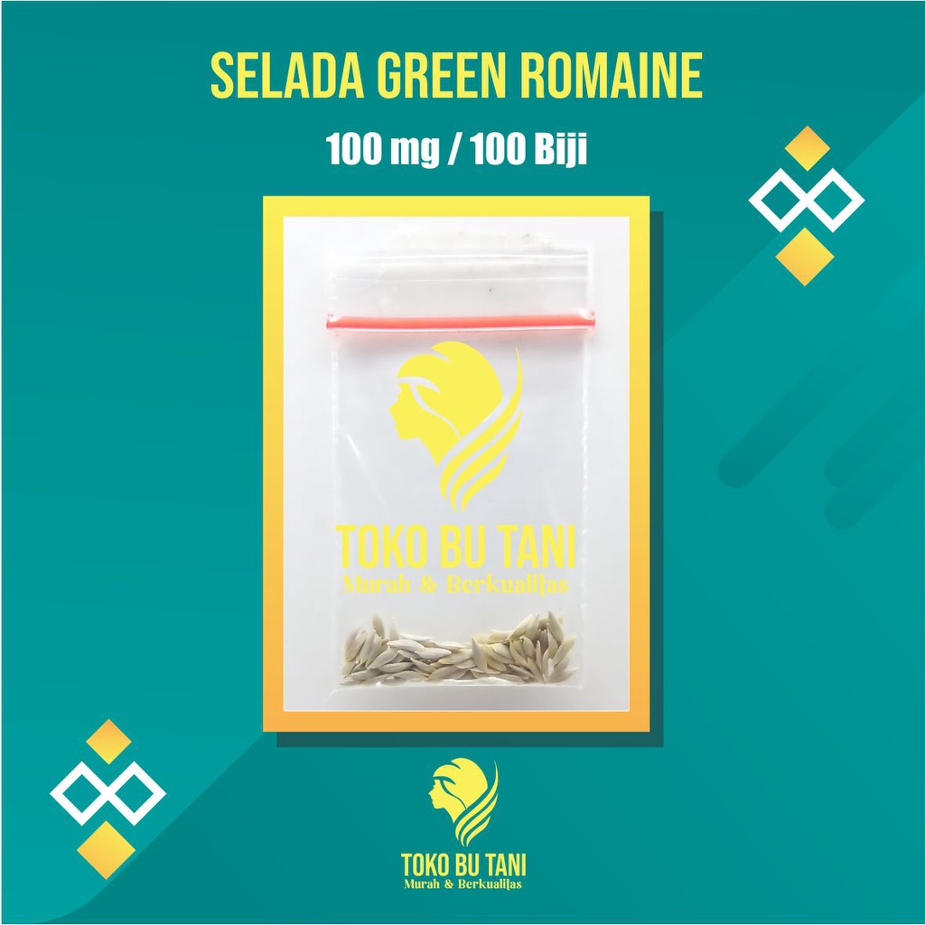 Benih Sayur Selada Green Romaine Bibit Sayuran Selada Lettuce Green Romaine Hijau Benih Sayuran Berkualitas