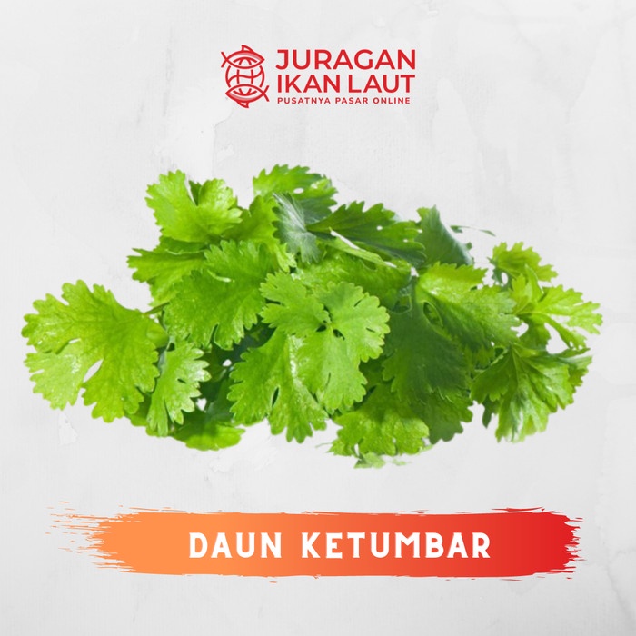 

Daun Ketumbar Segar Berkualitas - 100 Gram