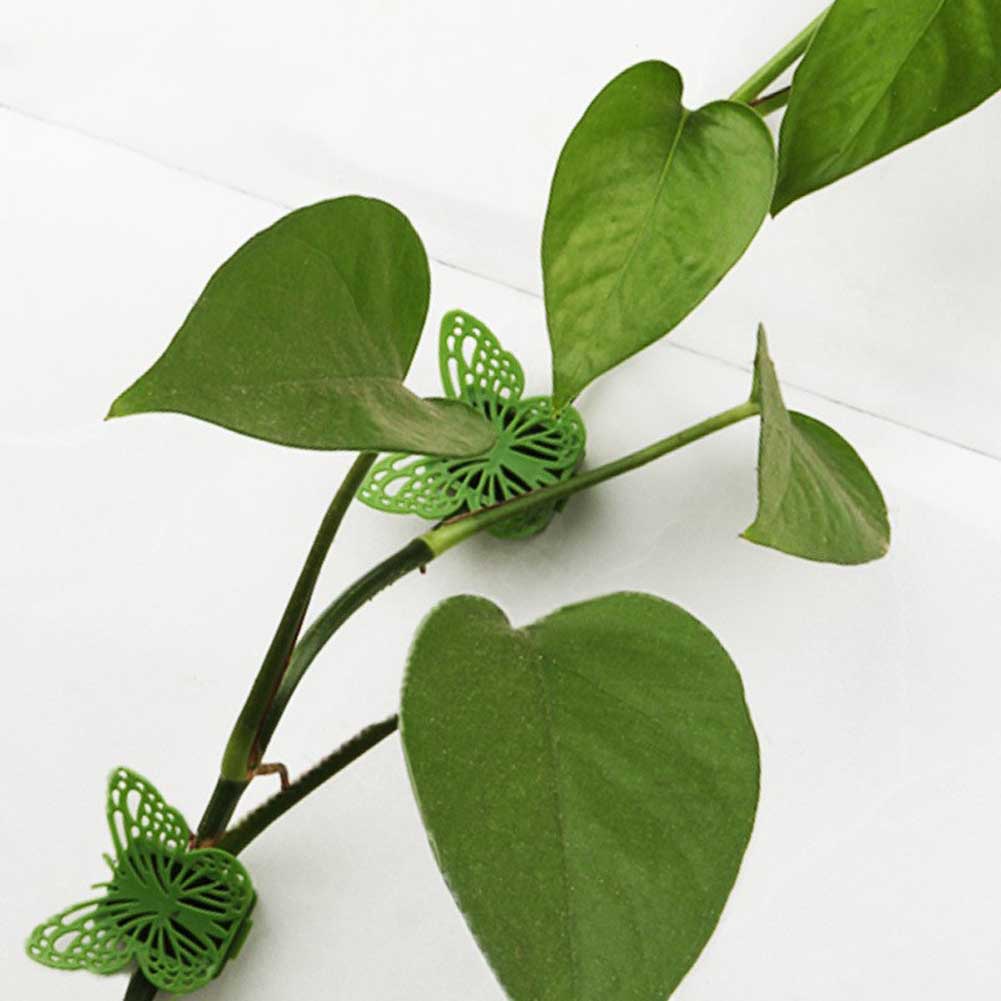 Butterfly Invisible Plant Climbing Perlengkapan Dinding Rotan Vine Bracket Tetap Gesper Daun Klip Traksi Holder Taman Tanaman Prop