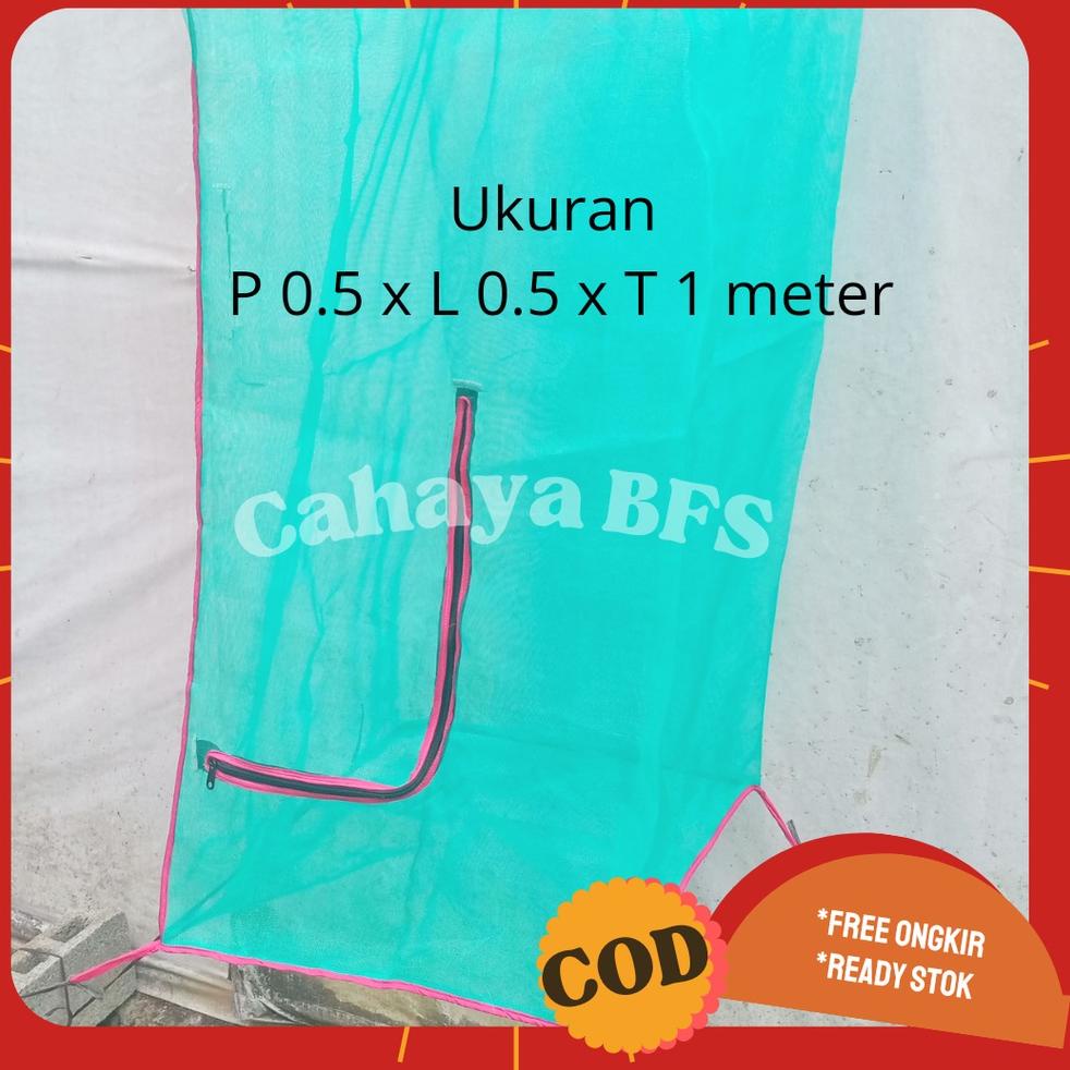 (No(D95F)☎) Kandang bsf magot lalat bsf portable murah paling laris