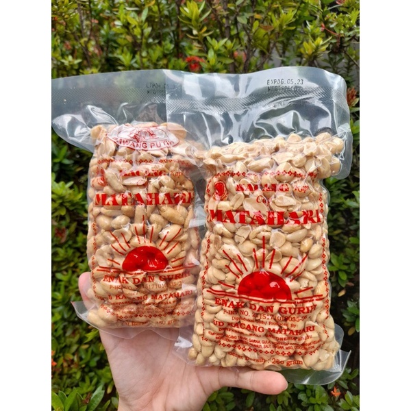 

Kacang Matahari “ASLI BALI”
