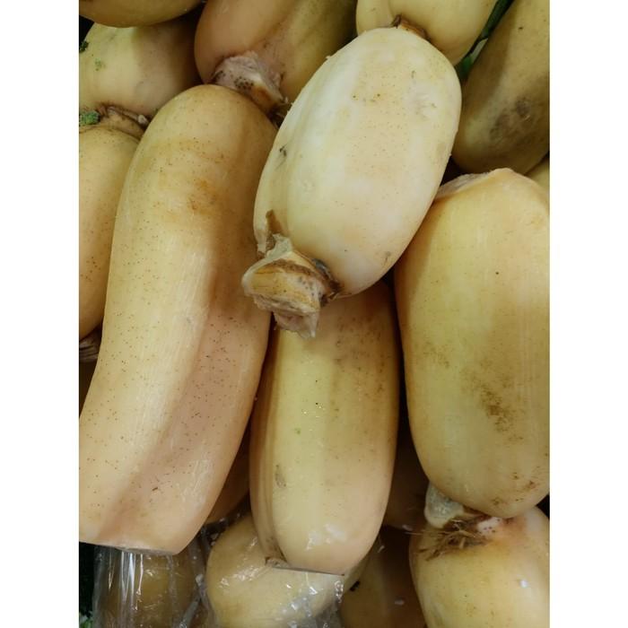

Akar Teratai Lotus Root 500 G Best Seller