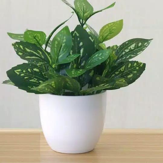 Kunataruma Bunga Artificial Besar Pot Tanaman Plastik Hias Daun Rambat Monstera Tawon Kering Murah