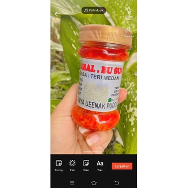

sambal teri Medan bususi