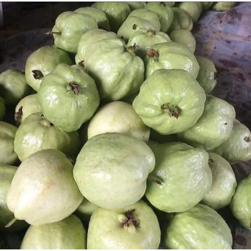 

Jambu Kristal Manis Fresh