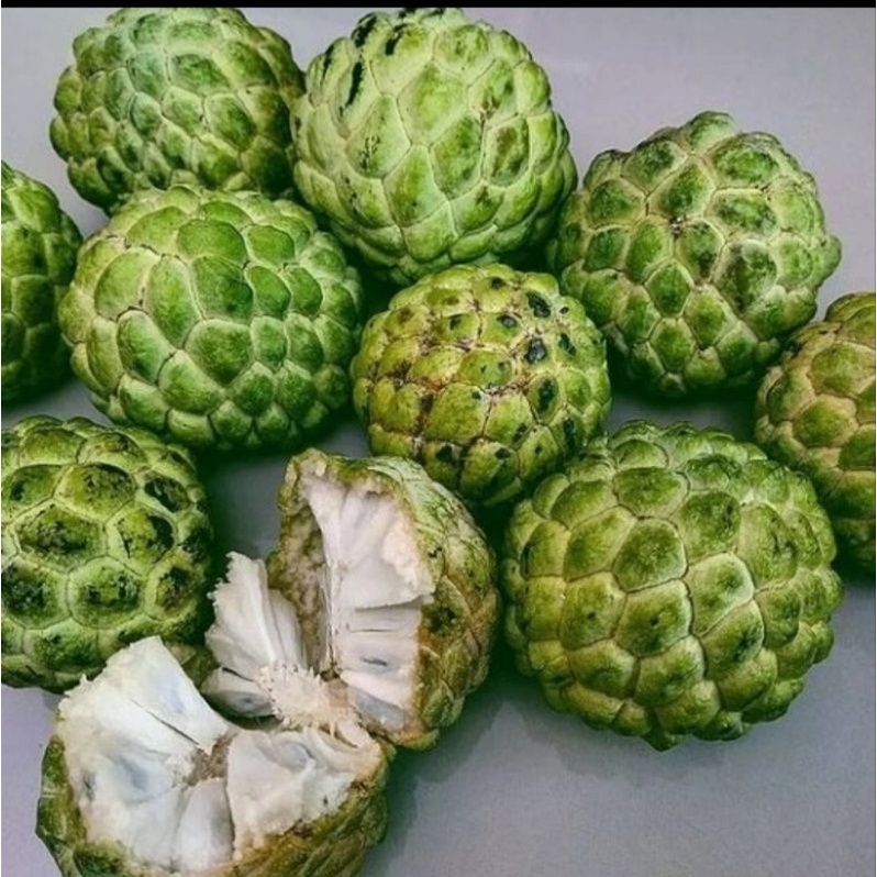 

SRIKAYA HIJAU FRESH SEGAR - BUAH SRIKAYA KAYA AKAN NUTRISI