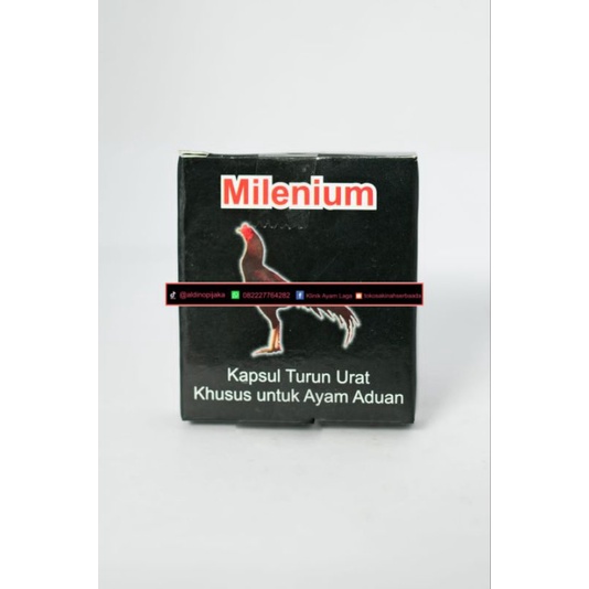 Millenium obat turun urat Tedun ayam