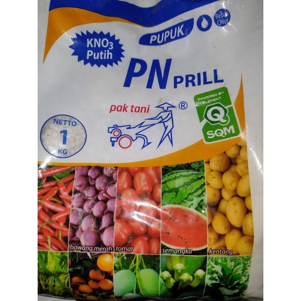 Jual Pupuk Kno Putih Pn Prill Kg Kemasan Pabrik Shopee Indonesia